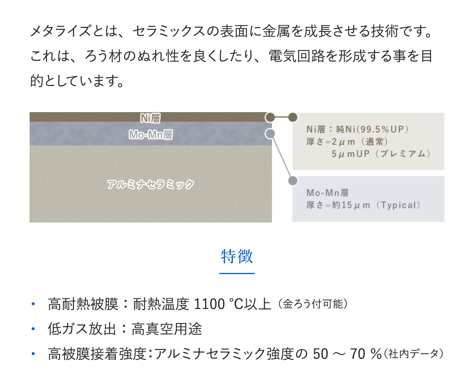 メタライズのリーフレット