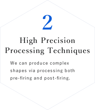 2 High Precision Processing Techniques